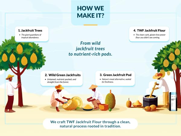 TWF Jackfruit Flour