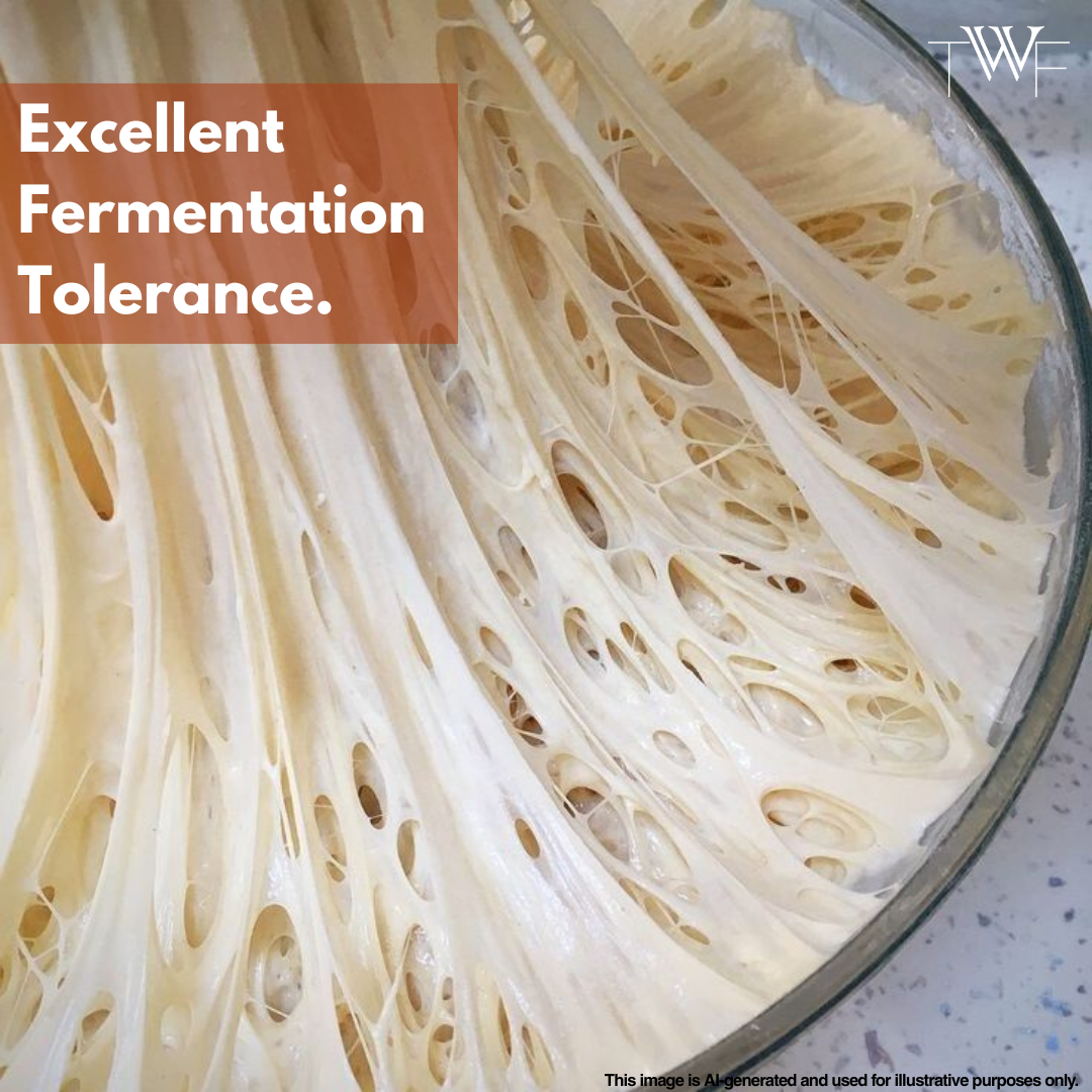 TWF Neapolitan 00 Pizza Flour